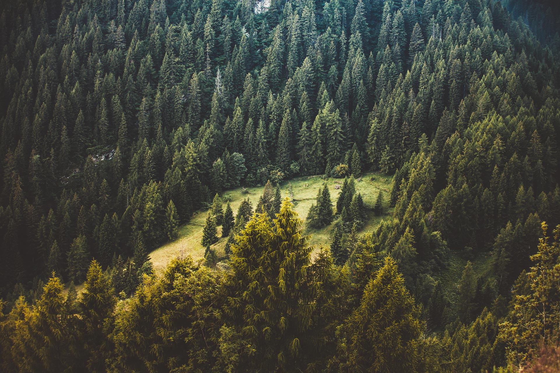 免费攻击网站